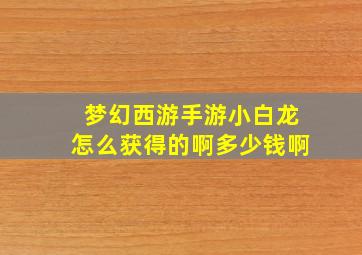 梦幻西游手游小白龙怎么获得的啊多少钱啊