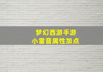 梦幻西游手游小雷音属性加点