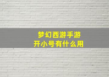 梦幻西游手游开小号有什么用