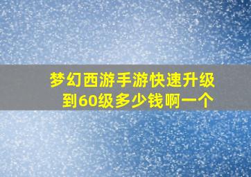 梦幻西游手游快速升级到60级多少钱啊一个