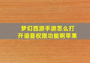 梦幻西游手游怎么打开语音权限功能啊苹果