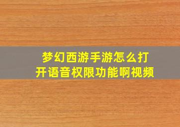 梦幻西游手游怎么打开语音权限功能啊视频