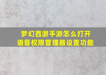 梦幻西游手游怎么打开语音权限管理器设置功能