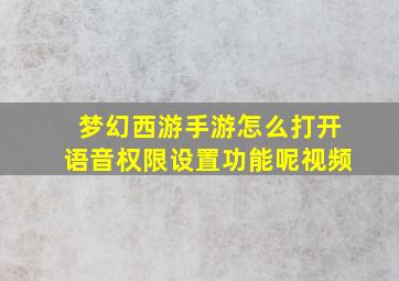 梦幻西游手游怎么打开语音权限设置功能呢视频