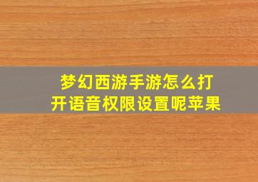 梦幻西游手游怎么打开语音权限设置呢苹果