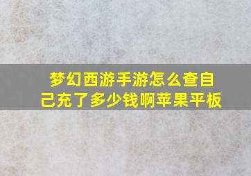 梦幻西游手游怎么查自己充了多少钱啊苹果平板