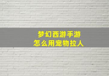 梦幻西游手游怎么用宠物拉人