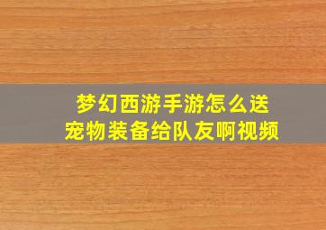 梦幻西游手游怎么送宠物装备给队友啊视频