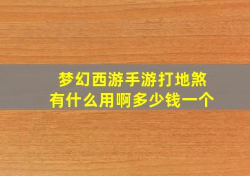 梦幻西游手游打地煞有什么用啊多少钱一个