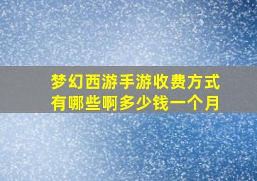 梦幻西游手游收费方式有哪些啊多少钱一个月