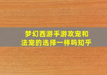 梦幻西游手游攻宠和法宠的选择一样吗知乎