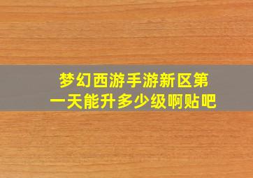 梦幻西游手游新区第一天能升多少级啊贴吧