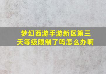 梦幻西游手游新区第三天等级限制了吗怎么办啊