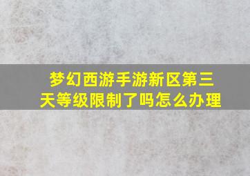 梦幻西游手游新区第三天等级限制了吗怎么办理