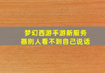 梦幻西游手游新服务器别人看不到自己说话