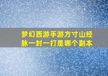 梦幻西游手游方寸山经脉一封一打是哪个副本