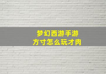 梦幻西游手游方寸怎么玩才肉