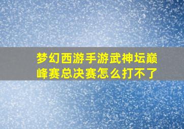 梦幻西游手游武神坛巅峰赛总决赛怎么打不了