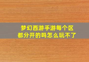 梦幻西游手游每个区都分开的吗怎么玩不了