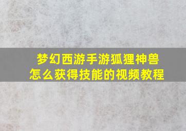 梦幻西游手游狐狸神兽怎么获得技能的视频教程