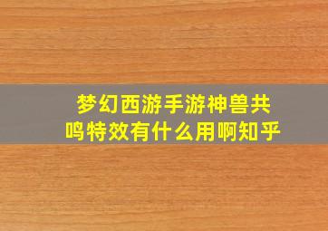 梦幻西游手游神兽共鸣特效有什么用啊知乎