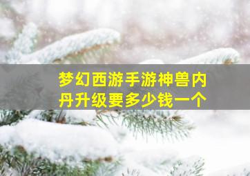 梦幻西游手游神兽内丹升级要多少钱一个