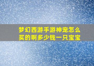 梦幻西游手游神宠怎么买的啊多少钱一只宝宝