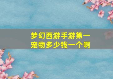 梦幻西游手游第一宠物多少钱一个啊