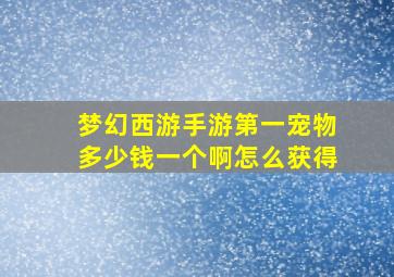 梦幻西游手游第一宠物多少钱一个啊怎么获得