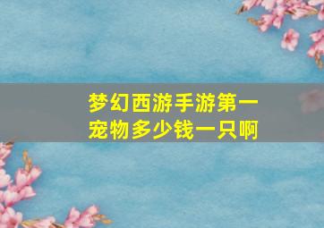 梦幻西游手游第一宠物多少钱一只啊