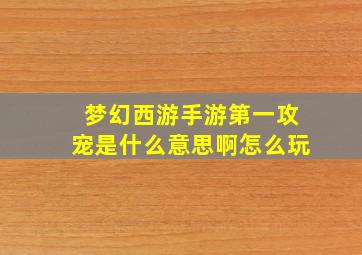 梦幻西游手游第一攻宠是什么意思啊怎么玩