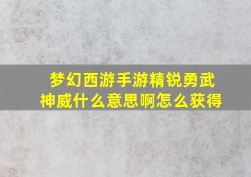 梦幻西游手游精锐勇武神威什么意思啊怎么获得