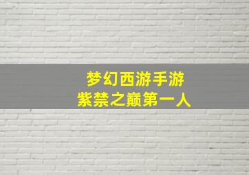 梦幻西游手游紫禁之巅第一人