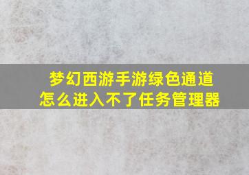 梦幻西游手游绿色通道怎么进入不了任务管理器