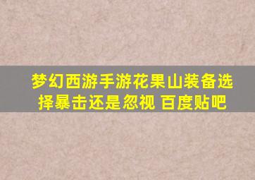 梦幻西游手游花果山装备选择暴击还是忽视 百度贴吧