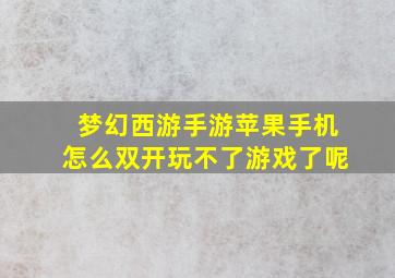 梦幻西游手游苹果手机怎么双开玩不了游戏了呢