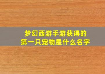 梦幻西游手游获得的第一只宠物是什么名字