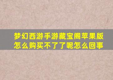 梦幻西游手游藏宝阁苹果版怎么购买不了了呢怎么回事