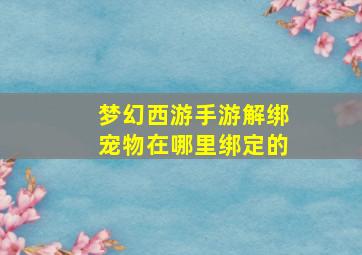 梦幻西游手游解绑宠物在哪里绑定的