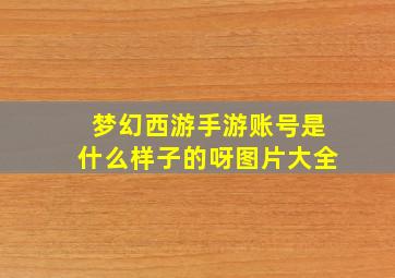 梦幻西游手游账号是什么样子的呀图片大全