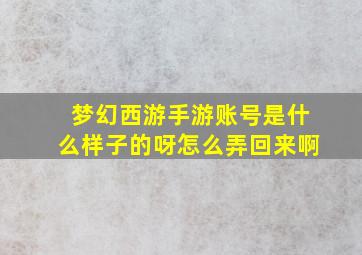 梦幻西游手游账号是什么样子的呀怎么弄回来啊