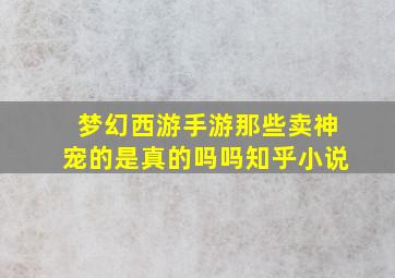 梦幻西游手游那些卖神宠的是真的吗吗知乎小说