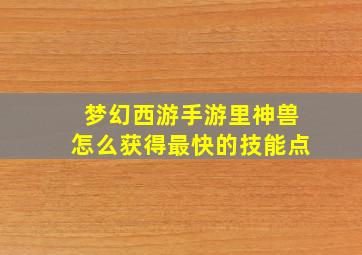 梦幻西游手游里神兽怎么获得最快的技能点