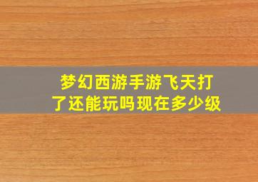 梦幻西游手游飞天打了还能玩吗现在多少级