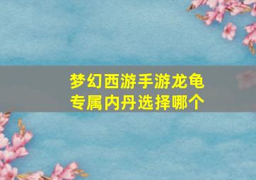 梦幻西游手游龙龟专属内丹选择哪个