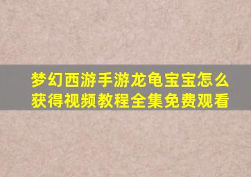 梦幻西游手游龙龟宝宝怎么获得视频教程全集免费观看