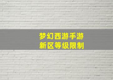 梦幻西游手游 新区等级限制