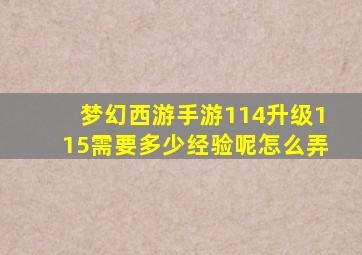 梦幻西游手游114升级115需要多少经验呢怎么弄