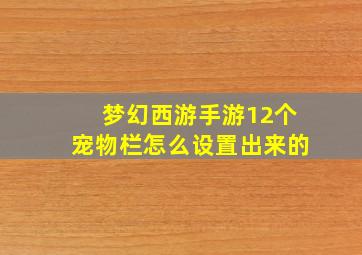 梦幻西游手游12个宠物栏怎么设置出来的