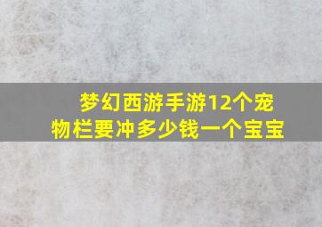 梦幻西游手游12个宠物栏要冲多少钱一个宝宝